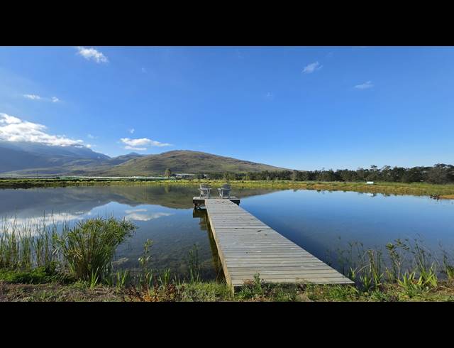 128,480M² FARM FOR SALE IN GREYTON